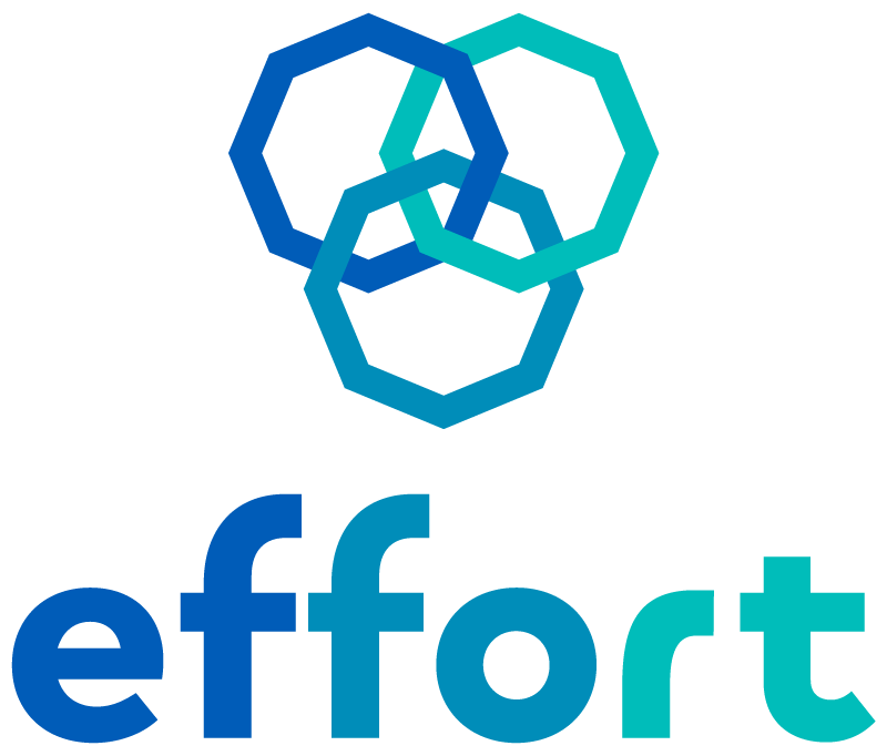 Effort